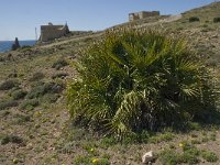 E, Almeria, Nijar, Cabo de Gata 5, Saxifraga-Jan van der Straaten